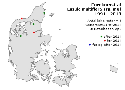 Luzula multiflora ssp. multiflora - udbredelseskort