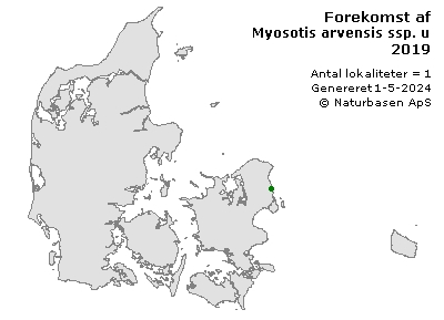 Myosotis arvensis ssp. umbrata - udbredelseskort