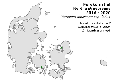 Nordlig Ørnebregne - udbredelseskort