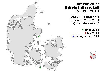 Salsola kali ssp. kali - udbredelseskort