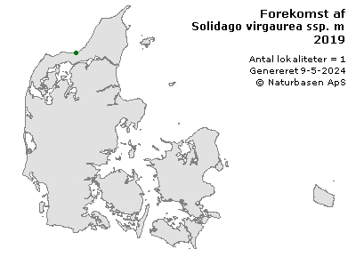 Solidago virgaurea ssp. minuta - udbredelseskort