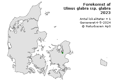 Ulmus glabra ssp. glabra - udbredelseskort