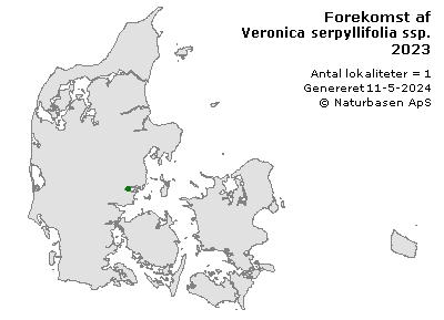 Veronica serpyllifolia ssp. humifusa - udbredelseskort