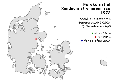 Xanthium strumarium ssp. strumarium - udbredelseskort