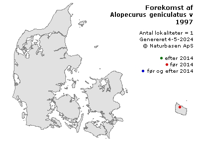 Alopecurus geniculatus var. geniculatus - udbredelseskort