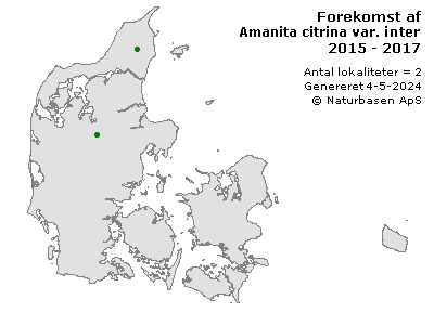 Amanita citrina var. intermedia - udbredelseskort