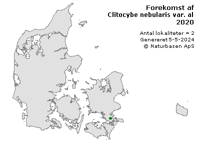 Clitocybe nebularis var. alba - udbredelseskort