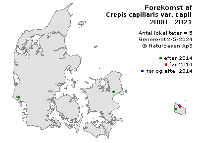 Crepis capillaris var. capillaris - udbredelseskort