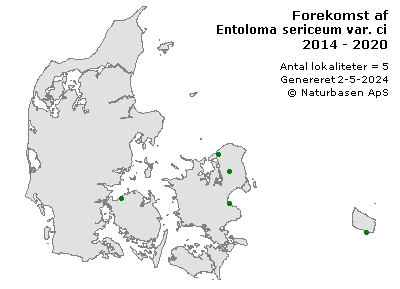 Entoloma sericeum var. cinereo-opacum - udbredelseskort