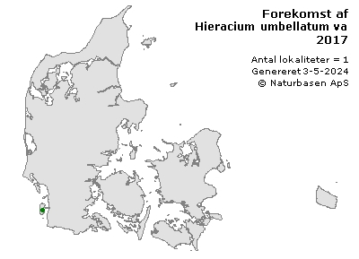 Hieracium umbellatum var. linearifloium - udbredelseskort