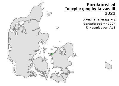 Inocybe geophylla var. lilacina - udbredelseskort