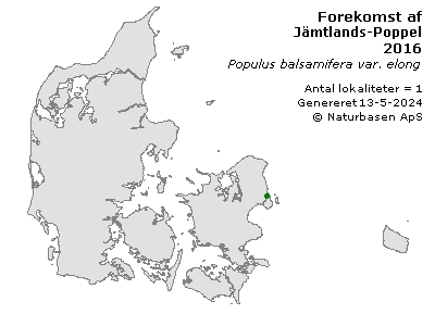 Jämtlands-Poppel - udbredelseskort
