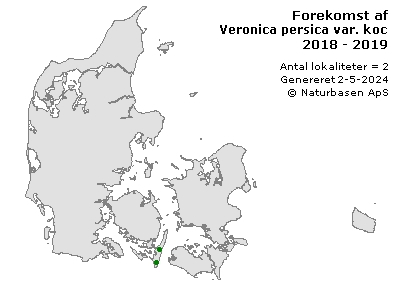Veronica persica var. kochiana - udbredelseskort