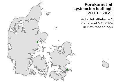 Lysimachia loeflingii - udbredelseskort