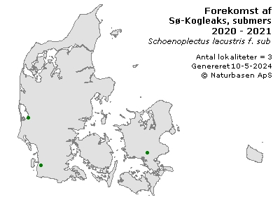 Sø-Kogleaks, submers - udbredelseskort
