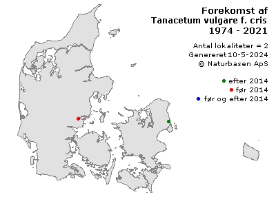 Tanacetum vulgare f. crispum - udbredelseskort