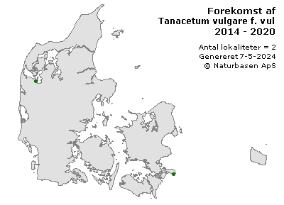 Tanacetum vulgare f. vulgare - udbredelseskort