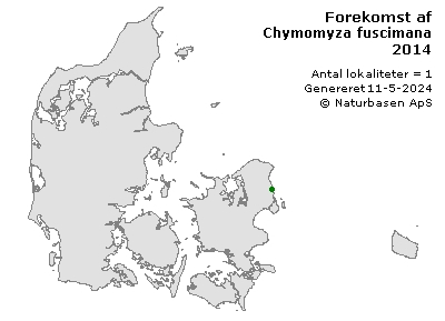 Chymomyza fuscimana - udbredelseskort