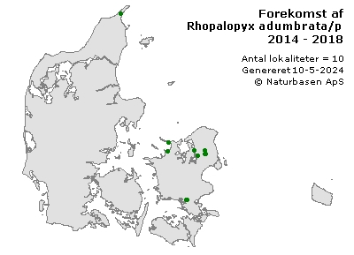 Rhopalopyx adumbrata/preyssleri - udbredelseskort