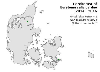 Eurytoma saliciperdae - udbredelseskort