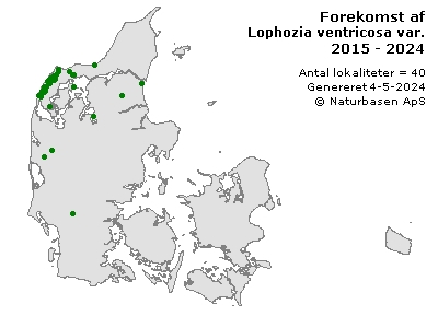 Lophozia ventricosa var. silvicola - udbredelseskort