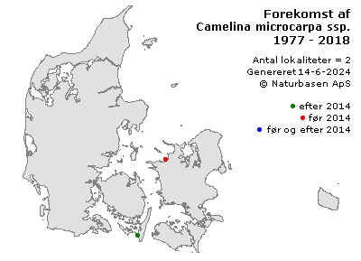 Camelina microcarpa ssp. microcarpa - udbredelseskort