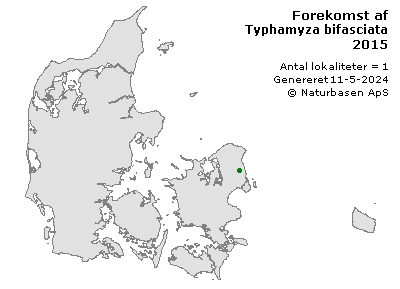 Typhamyza bifasciata - udbredelseskort