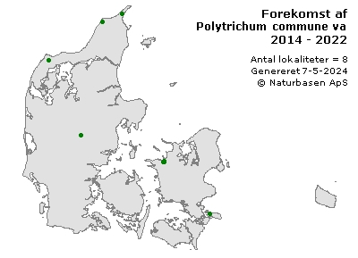 Polytrichum commune var. perigonale - udbredelseskort