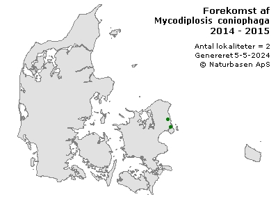 Mycodiplosis coniophaga - udbredelseskort