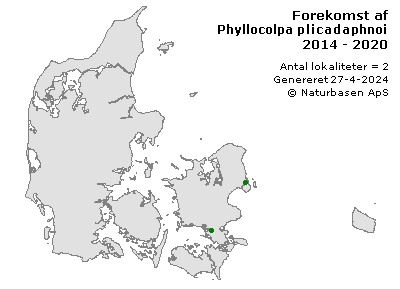Phyllocolpa plicadaphnoides - udbredelseskort
