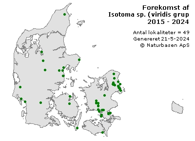 Isotoma sp. (viridis gruppe) - udbredelseskort