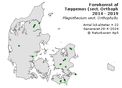Tæppemos (sect. Orthophyllum) - udbredelseskort