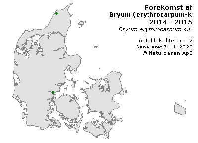 Bryum (erythrocarpum-komplekset) - udbredelseskort
