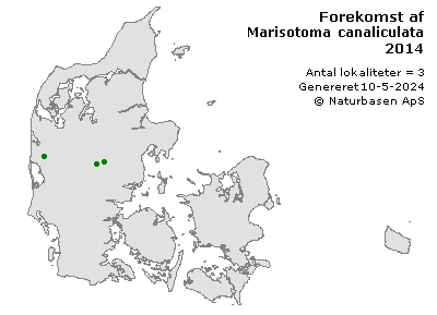 Marisotoma canaliculata - udbredelseskort
