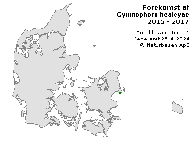 Gymnophora healeyae - udbredelseskort