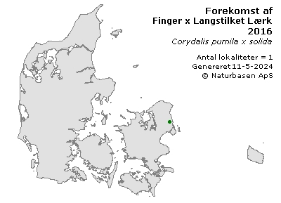 Finger x Langstilket Lærkespore - udbredelseskort