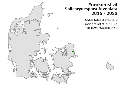 Solicorynespora foveolata - udbredelseskort