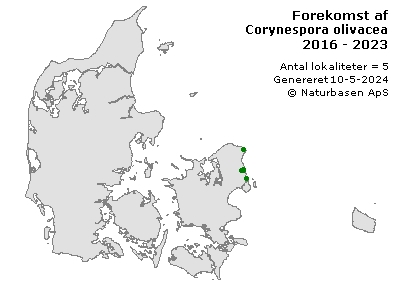 Corynespora olivacea - udbredelseskort