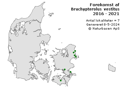 Brachypterolus vestitus - udbredelseskort