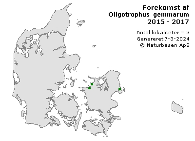 Oligotrophus gemmarum - udbredelseskort
