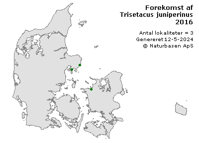 Trisetacus juniperinus - udbredelseskort