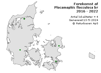 Plocamaphis flocculosa brachysiphon - udbredelseskort