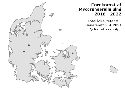 Mycosphaerella ulmi - udbredelseskort