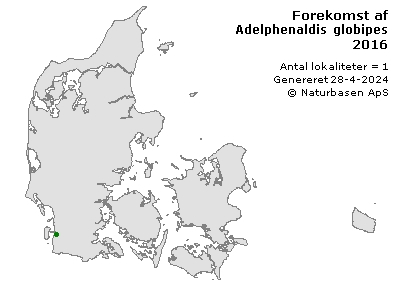 Adelphenaldis globipes - udbredelseskort