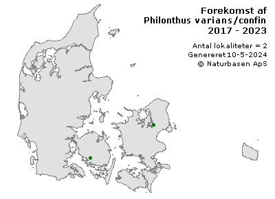 Philonthus varians/confinis - udbredelseskort