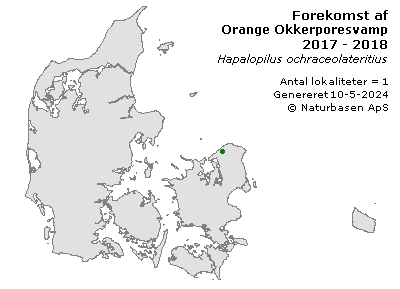 Orange Okkerporesvamp - udbredelseskort