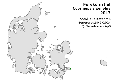 Coprinopsis xenobia - udbredelseskort