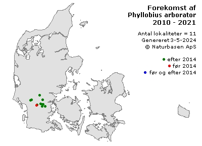 Phyllobius arborator - udbredelseskort