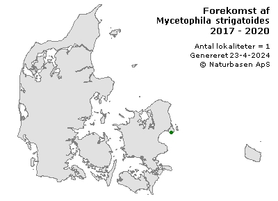 Mycetophila strigatoides - udbredelseskort
