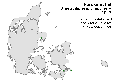 Ametrodiplosis crassinerva - udbredelseskort
